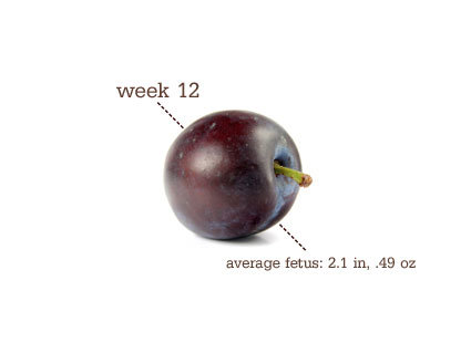 12 Weeks Pregnant Bump Size