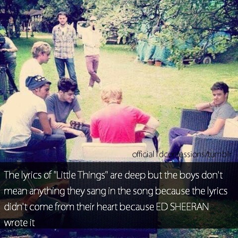 1d Imagines Long Zayn
