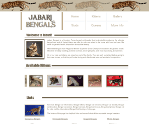 Asian Leopard Cat For Sale Houston