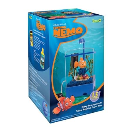 Blue And Yellow Fish In Finding Nemo