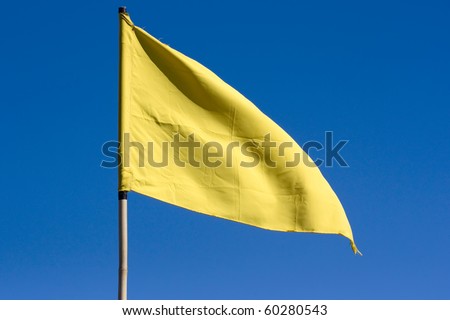 Blue And Yellow Flag Racing