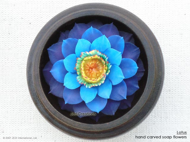 Blue And Yellow Flowers