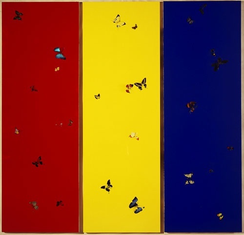 Blue Red And Yellow Flag