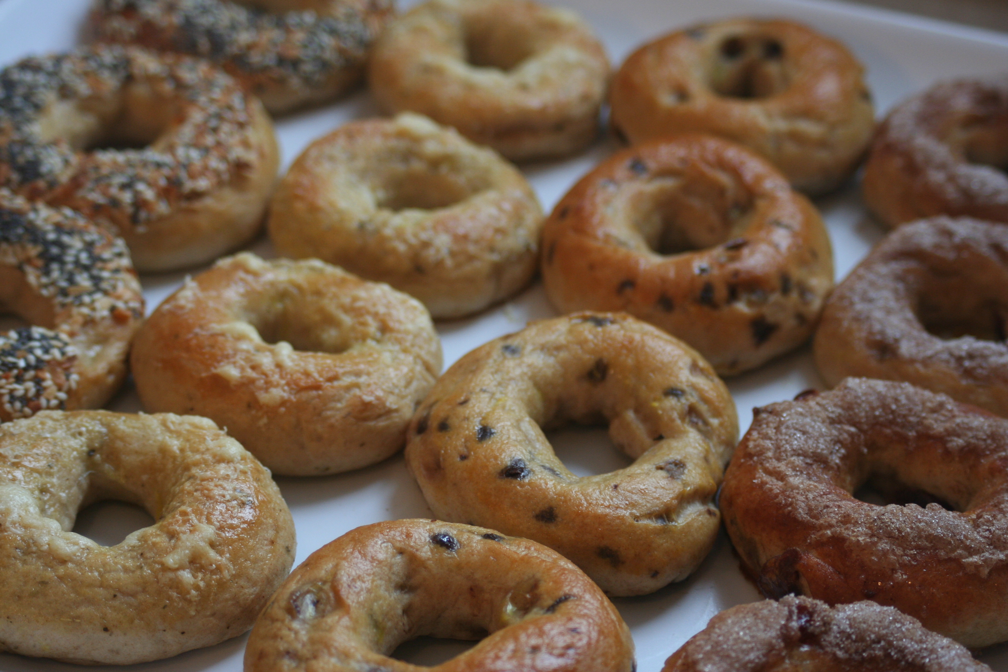 Bread Bagel