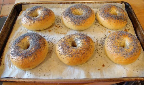 Bread Bagel