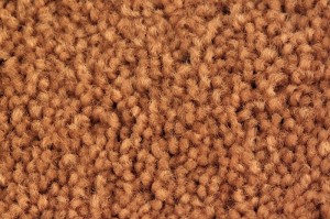 Carpet Dealers Denver