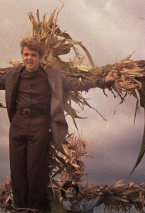 Children Of The Corn 1984 Part 1