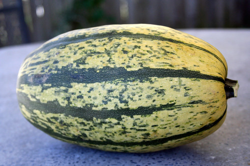 Difference Between Green And Yellow Squash