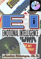 Emotional Intelligence At Work Weisinger