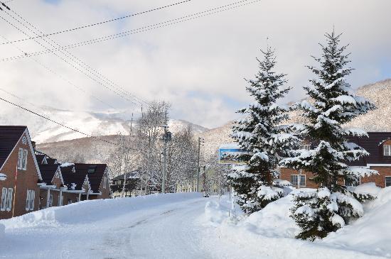 Grandpapa Niseko Review