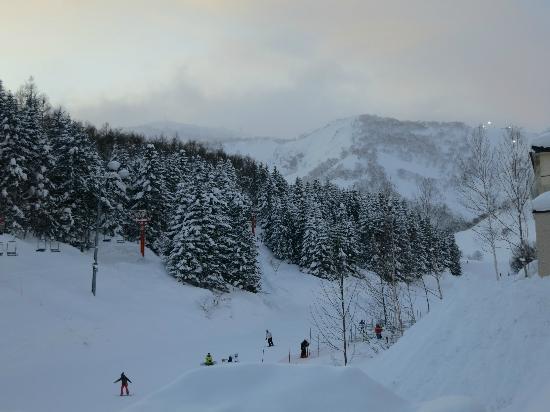Grandpapa Niseko Review