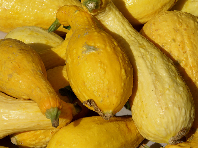 How To Make Green And Yellow Squash