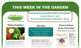 Monthly School Newsletter Ideas