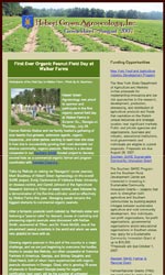 Newsletter Examples For Business