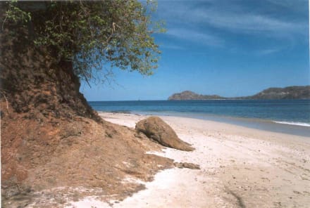 Occidental Grand Papagayo Photos