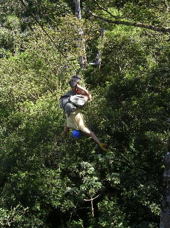Occidental Grand Papagayo Reviews