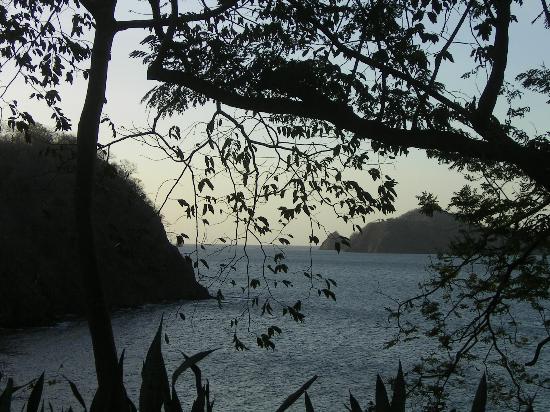 Occidental Grand Papagayo Tripadvisor