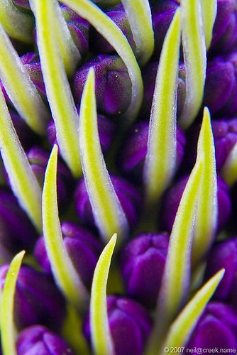 Purple And Yellow Flowers Wedding