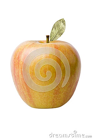 Red And Yellow Apple