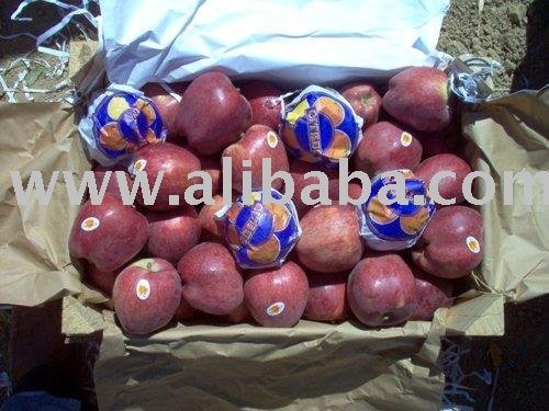 Red And Yellow Apple Name