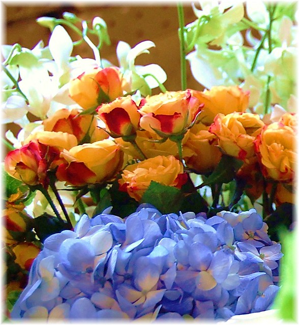 Red And Yellow Roses Name