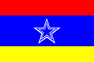 Red Blue And Yellow Flag With Stars On It