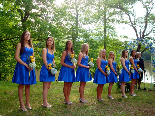 Royal Blue And Yellow Wedding Colors