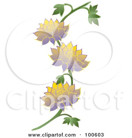 Vine With Purple And Yellow Flowers