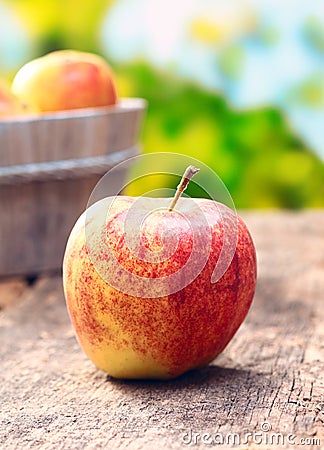 What Is A Red And Yellow Apple Called