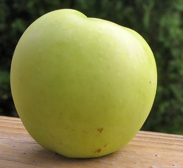 What Is A Red And Yellow Apple Called