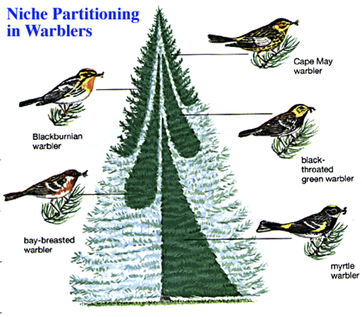 Abiotic Resources Images