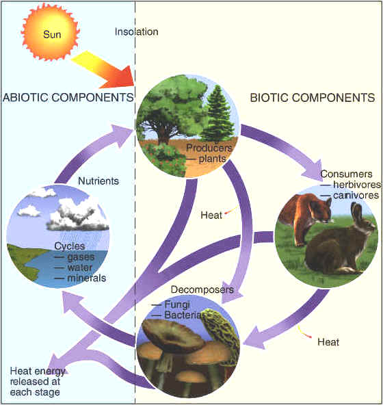 Abiotic Resources Images
