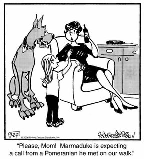 Accountants At Work Cartoon