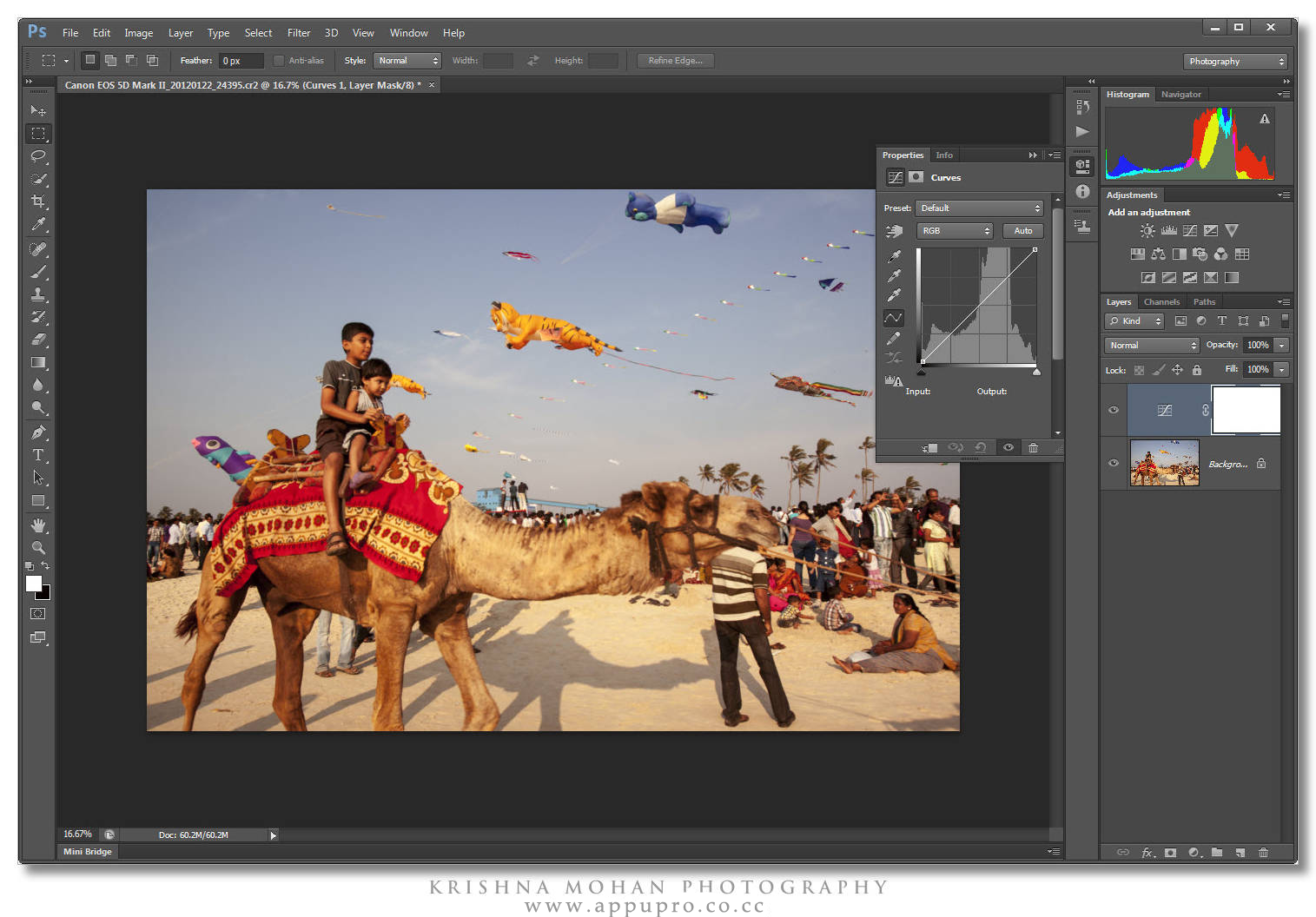 Adobe Photoshop Cs6 Extended 13.0 Crack