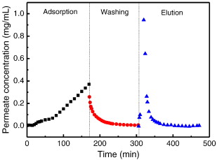 Adsorption Chromatography Definition