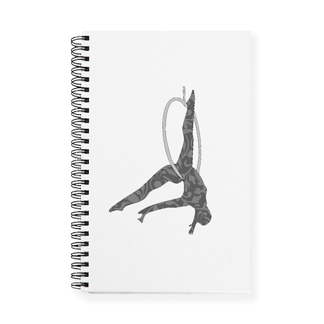 Aerial Hoop Book