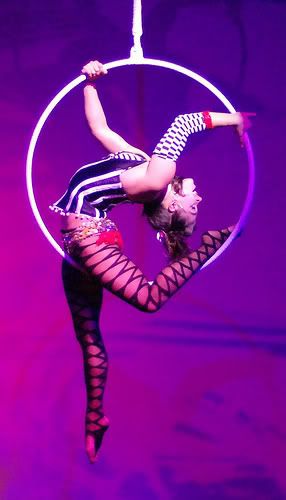 Aerial Hoop Book