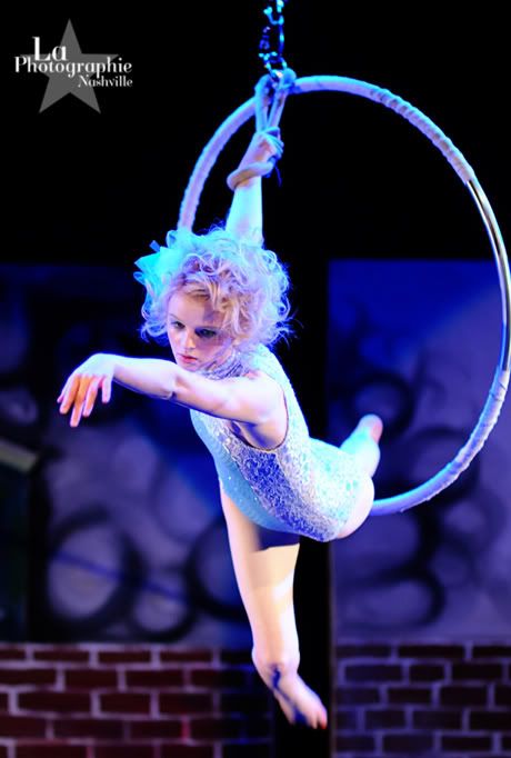 Aerial Hoop Poses