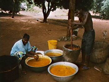 Agro Based Industries Pictures