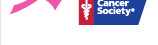 American Cancer Society Logo Clip Art