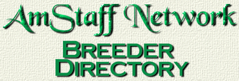 American Staffordshire Terrier Puppies For Sale In Va