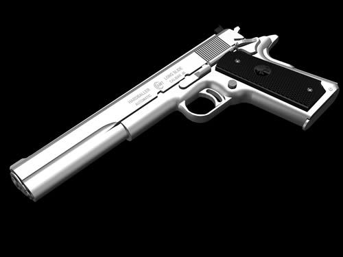 Amt Hardballer Longslide For Sale