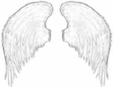 Angel Wings Drawing