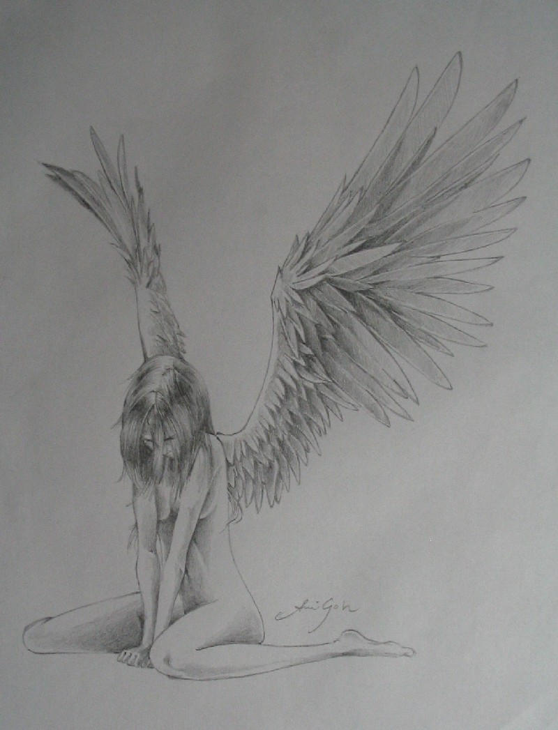 Angel Wings Drawing