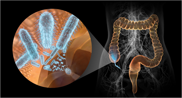 Appendix