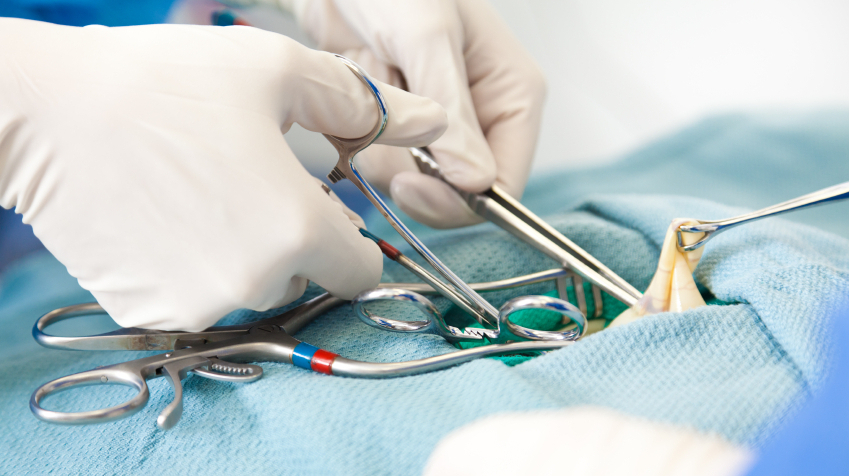 Appendix Burst Causes