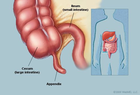 Appendix Operation Time