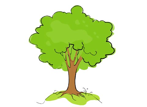 Apple Tree Cartoon Pictures