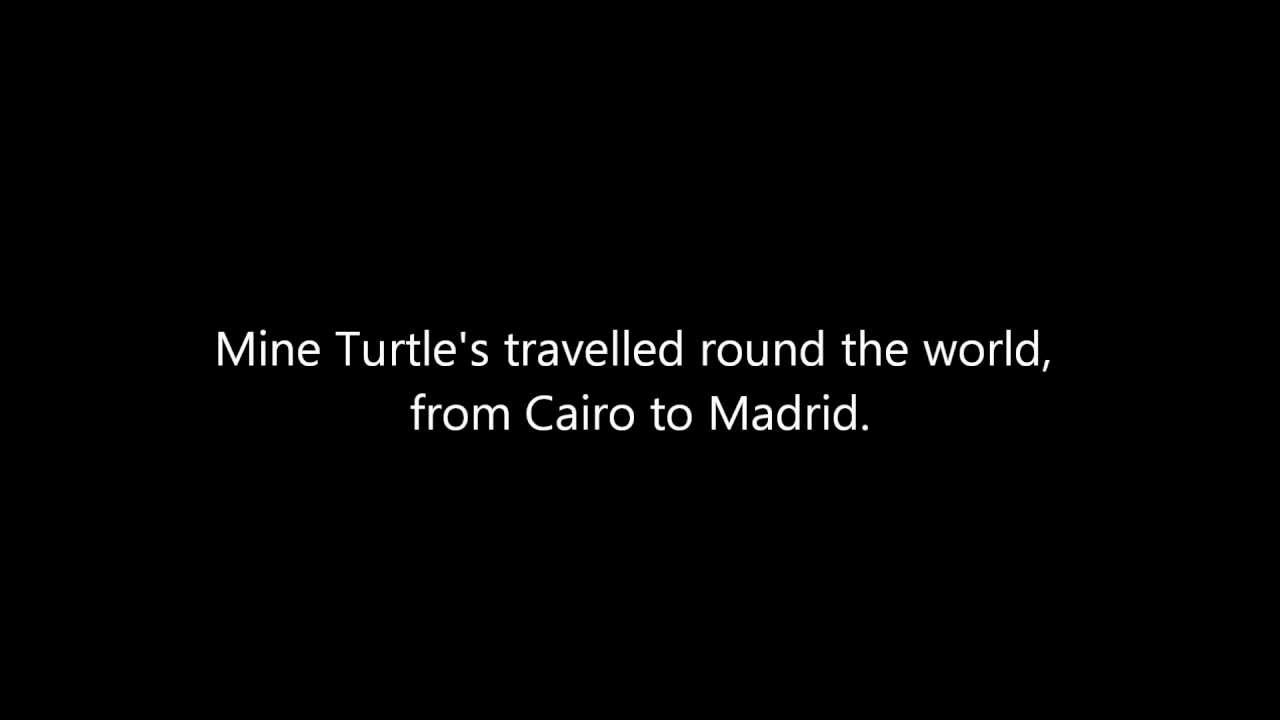Asdf Movie Mine Turtle Song Lyrics
