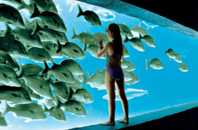 Atlantis Bahamas Hotel Deals